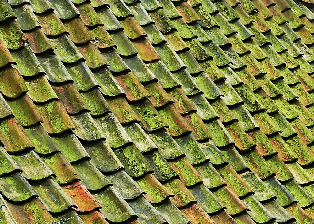 Roofing in Eccleston